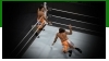 WWE2K15成就列表