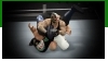 WWE2K15成就列表