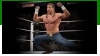 WWE2K15成就列表