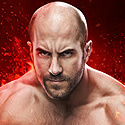 WWE2K15白金攻略