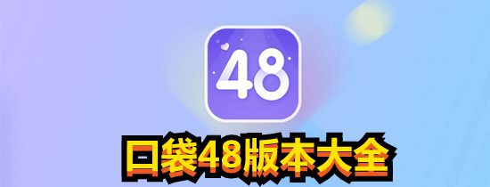 口袋48