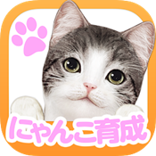 掌上猫咪 v1.5.6 安卓版下载