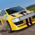 Rally Fury v1.94 下载