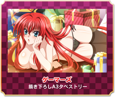 3ds《高校dxd》豪华特典:美乳御姐参上